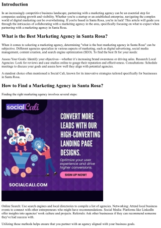 What to Expect When Partnering with a Marketing Agency in Santa Rosa