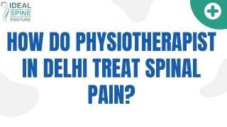 How do Physiotherapist in Delhi Treat Spinal Pain?