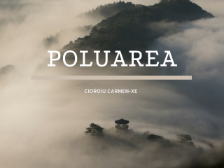 poluarea