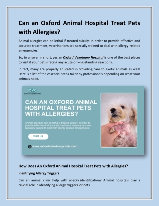 Can an Oxford Animal Hospital Treat Pets with Allergies