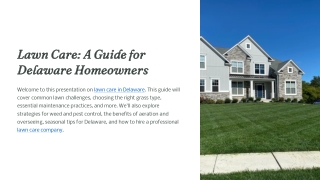 Lawn Care: A Guide for Delaware Homeowners