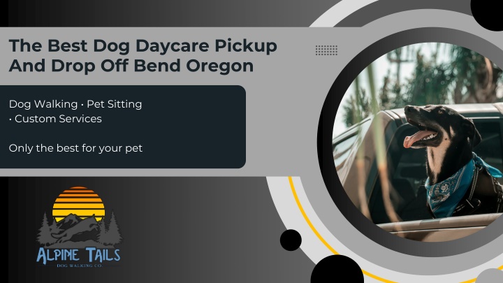 the best dog daycare pickup and drop off bend