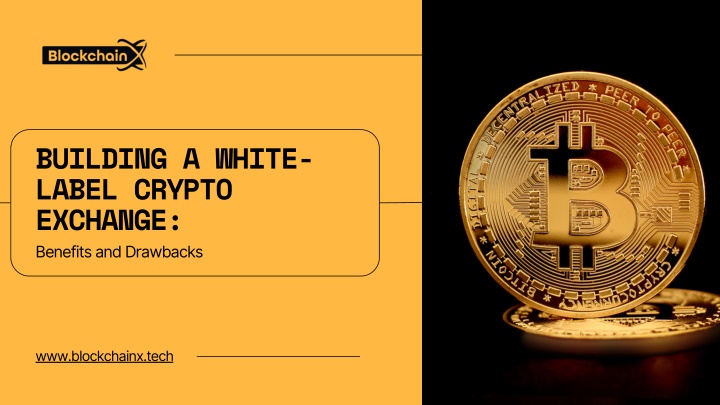 building a white label crypto exchange benefits