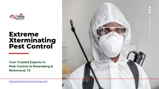 Expert Pest Control Solutions in Rosenberg & Richmond, TX - Extreme Xterminating