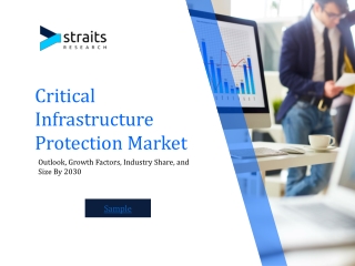 critical infrastructure protection market
