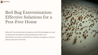 Comprehensive Pest Solutions: Bed Bug Exterminator & Wildlife Removal Services