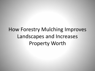 How Forestry Mulching Improves Landscapes and Increases Property