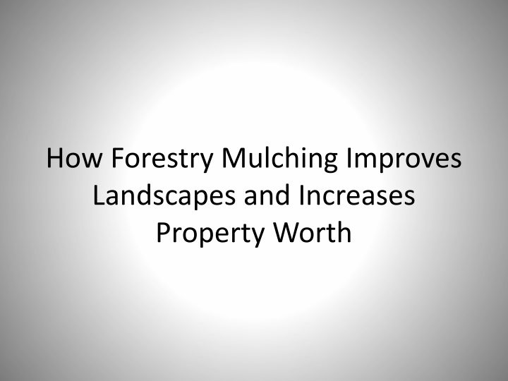 how forestry mulching improves landscapes and increases property worth