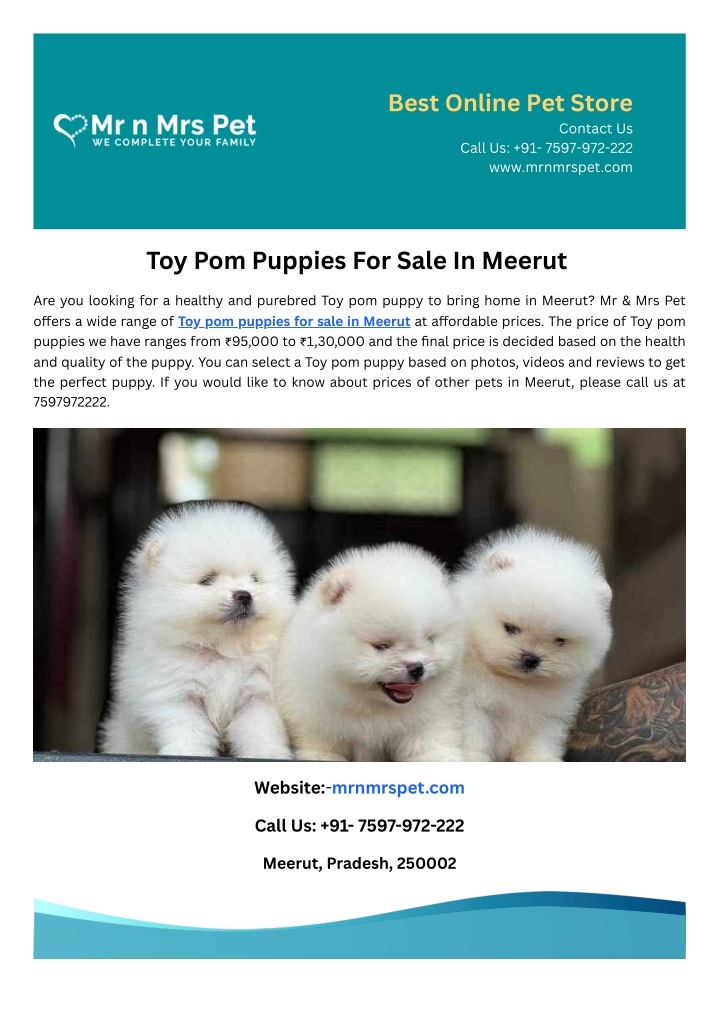 best online pet store