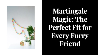Martingale Magic: The Perfect Fit for Every Furry Friend