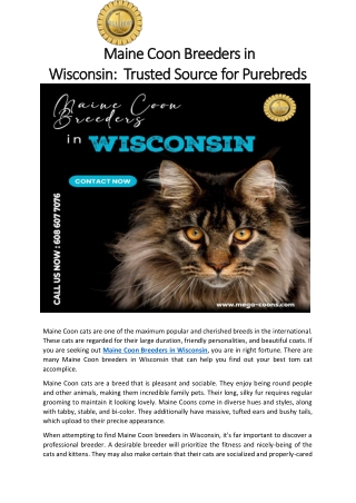 Maine Coon Breeders in Wisconsin-  Trusted Source for Purebreds