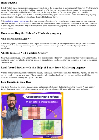 Lead Your Market with the Help of Santa Rosa Marketing Agency