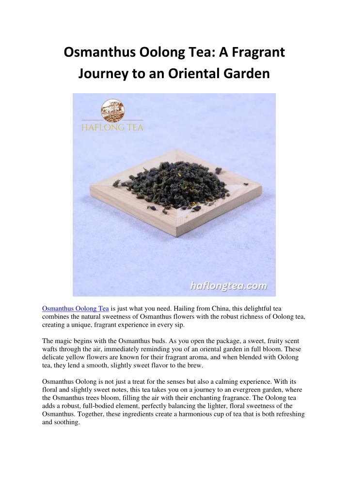 osmanthus oolong tea a fragrant journey