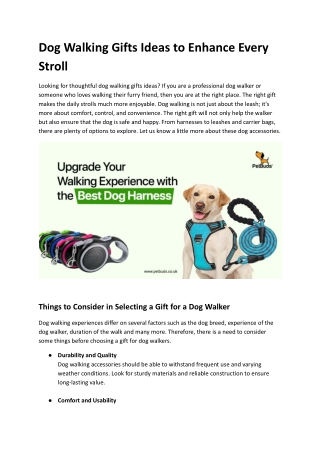 Dog Walking Gifts Ideas to Enhance Every Stroll.docx