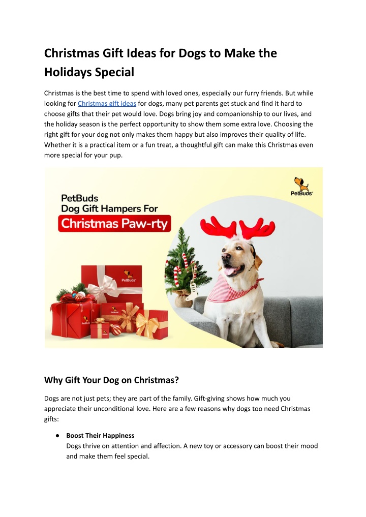 christmas gift ideas for dogs to make