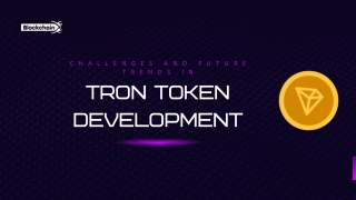 Challenges and Future Trends in TRON Token Development