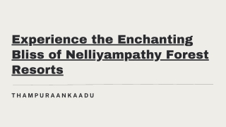 Experience the Enchanting Bliss of Nelliyampathy Forest Resorts