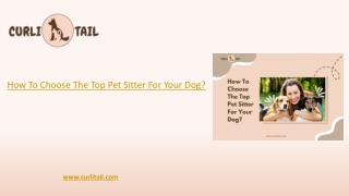 How To Choose The Top Pet Sitter For Your Dog