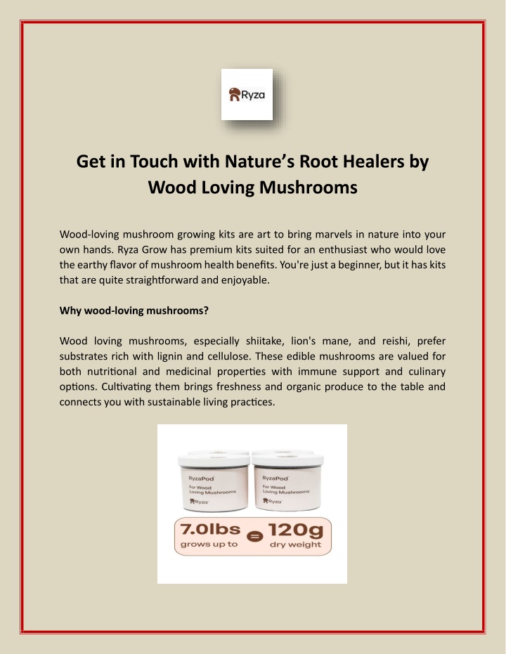 get in touch with nature s root healers by wood