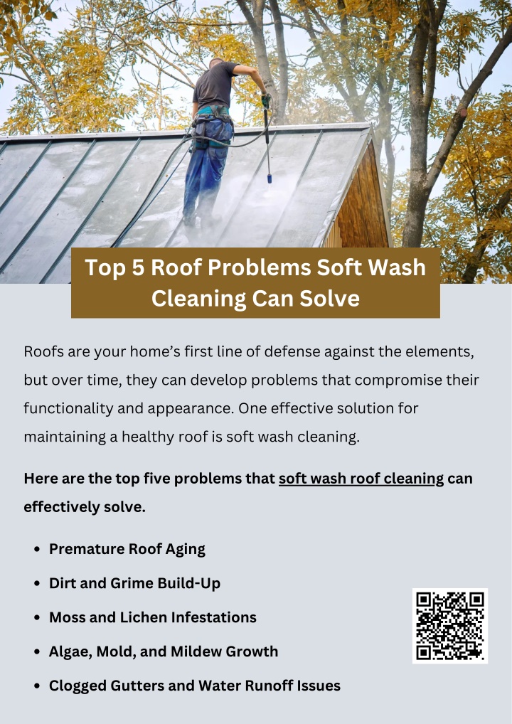 top 5 roof problems soft wash cleaning can solve