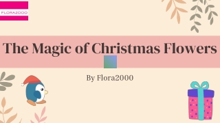 The Magic of Christmas Flowers