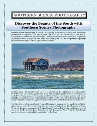 Discover the Beauty of the South with Southern Scenes Photography