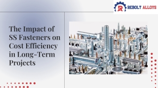 The Impact of SS Fasteners on Cost Efficiency in Long-Term Projects