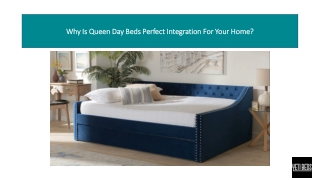 why is queen day beds perfect integration for your home