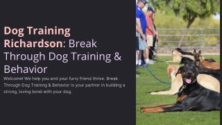 Dog Training Richardson Tx