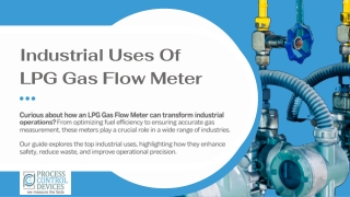 LPG Gas Flowmeter Industrial Uses and Advantages