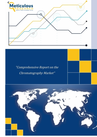 comprehensive report on the