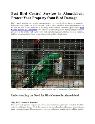 Best Bird Control Services in Ahmedabad