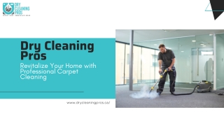 Revitalize Your Home with Professional Carpet Cleaning | Dry Cleaning Pros