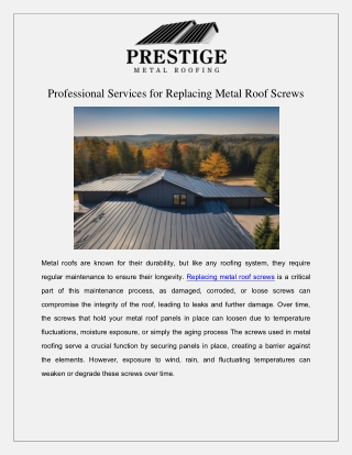 Professional Services for Replacing Metal Roof Screws