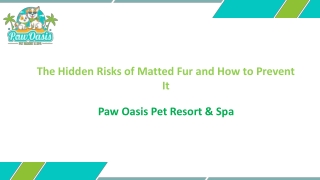 The Hidden Risks of Matted Fur and How to Prevent It