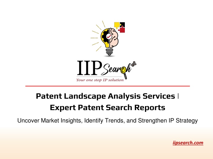 patent landscape analysis services expert patent