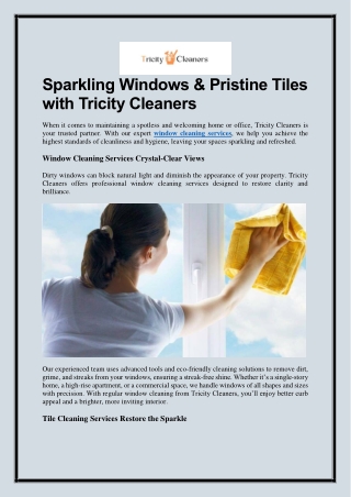 Sparkling Windows & Pristine Tiles with Tricity Cleaners