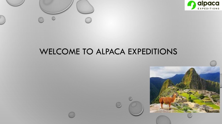 welcome to alpaca expeditions