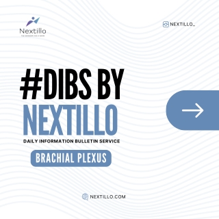 Brachial Plexus | Dibs | Nextillo