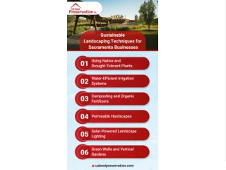 Green Business Practices: Sustainable Commercial Landscaping in Sacramento