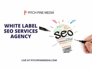 Grow Your Business with the Best White Label SEO Services Company in India