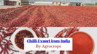chilli export from india by agrocrops