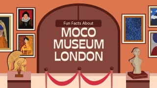 Fun Facts About Moco Museum London