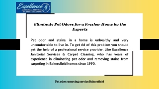 Eliminate Pet Odors for a Fresher Home by the Experts