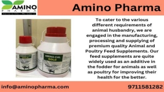 Animal Feed Supplements Manufacturer