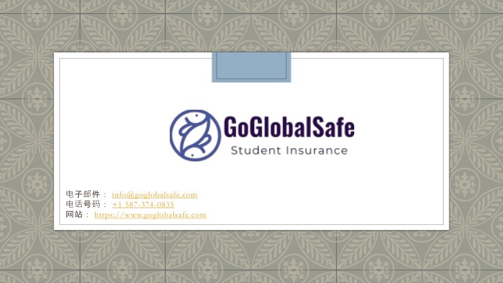 info@goglobalsafe com 1 587 374 0835 https www goglobalsafe com