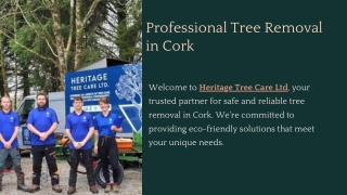 Professional Tree Removal in Cork