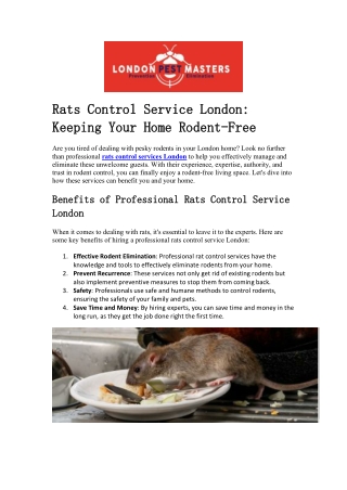 Rats Control Service London: Keeping Your Home Rodent