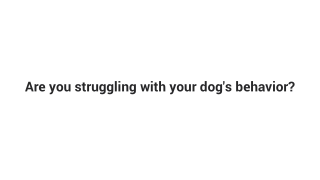 are you struggling with your dog s behavior