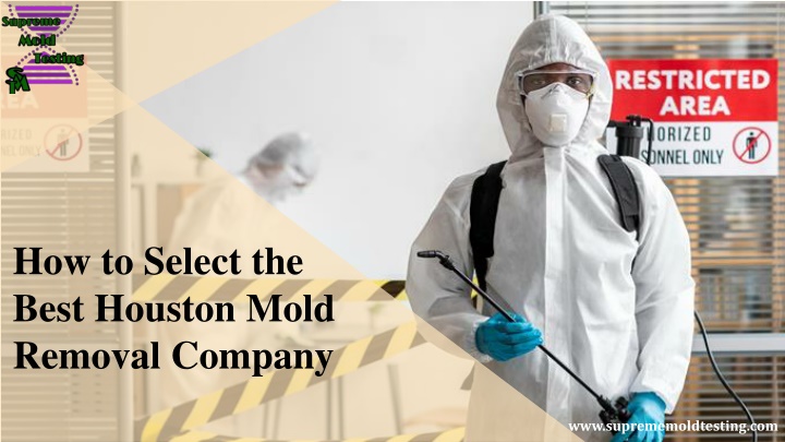 how to select the best houston mold removal